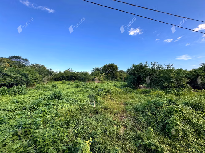 Ideal Lot Near the Beach   Top Schools   Reparto Genesis, Le n - Imagen 2