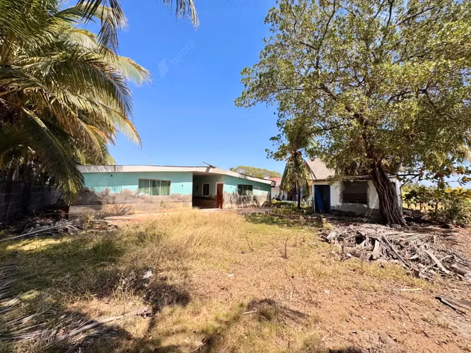 Seaside Business Oasis   Prime Beachfront in Santa Mar a del Mar - Imagen 3