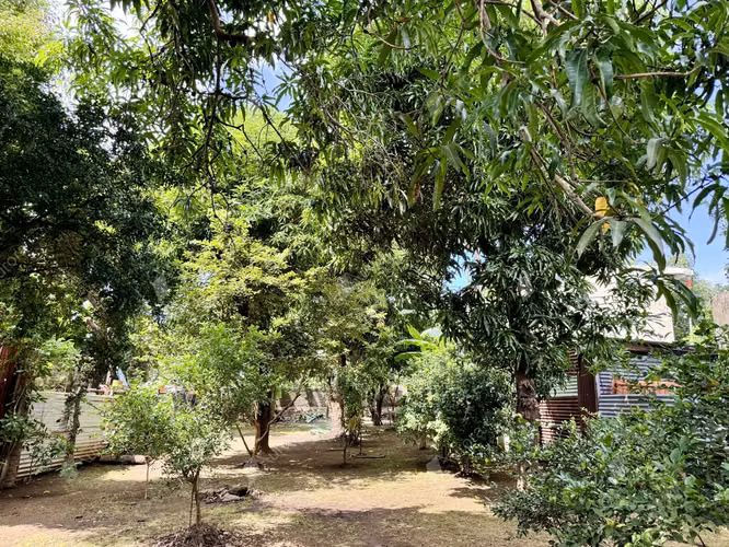 Development Opportunity to create your home or lucrative commercial Space - Imagen 2