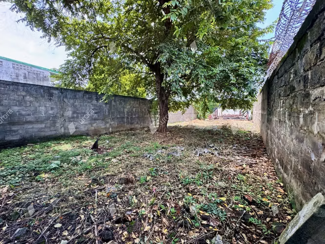 Prime Lot in Leon Center  A Developers Dream - Imagen 3
