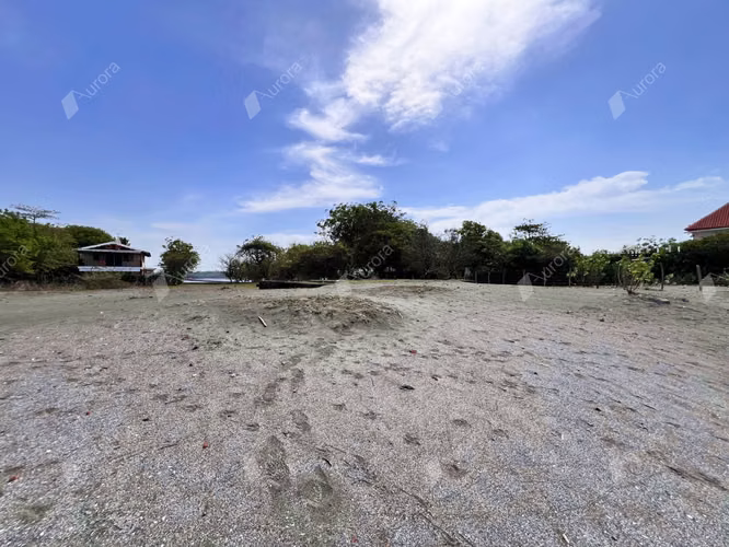 Ocean Breeze Beachfront Lot - Imagen 4