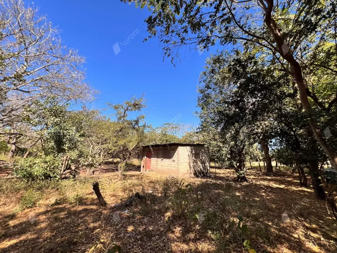 Farm with Fruit Trees, House, and Easy Access between Leon City and Poneloya Las Pe itas Beach