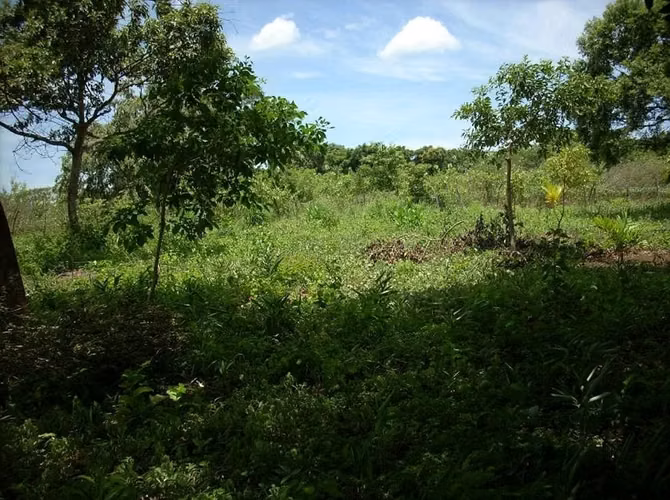 Beautiful land on the road to Poneloya
