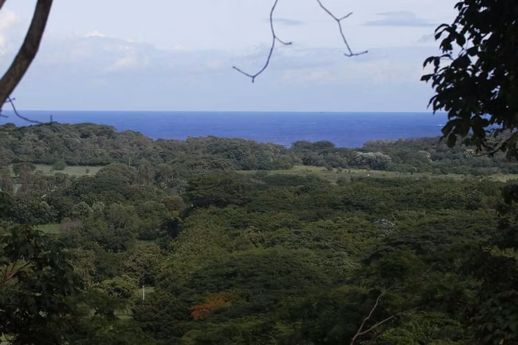 Highest Hill in the area, with inspiring views of the ocean, estuary, volcanoes - Imagen 3