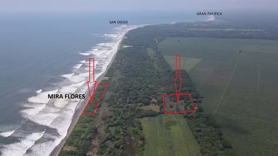A dream property  Total 6 Acres with 965 feet of oceanfront.