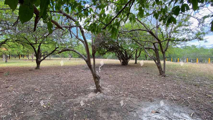 AL2716 Amazing property at El Transito - Imagen 4