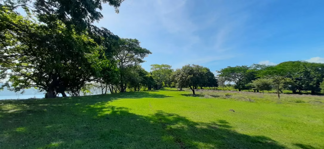 98 Acre farm next to Apoyo lagoon.