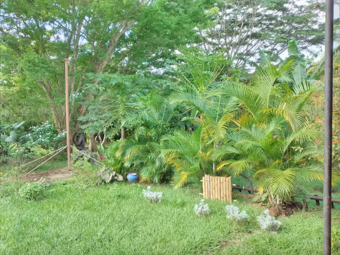 3 bedroom Home in One Acre Farm. - Imagen 3