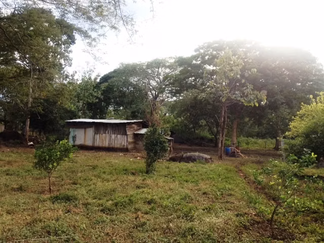 700 acres farmland - Imagen 3