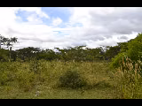 SOLARES EN VENTA EN RESERVA NATURAL – ESTELÍ. FACILIDADES DE PAGO