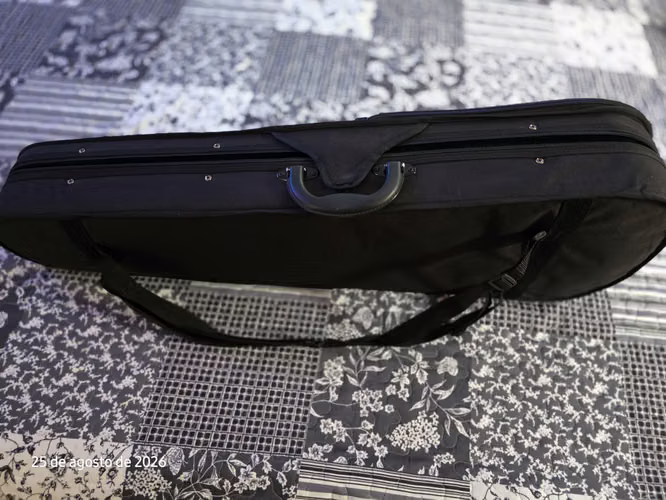 Violin