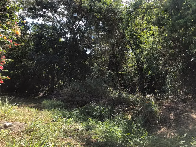 Venta de Terreno en Carretera Sur - Imagen 17
