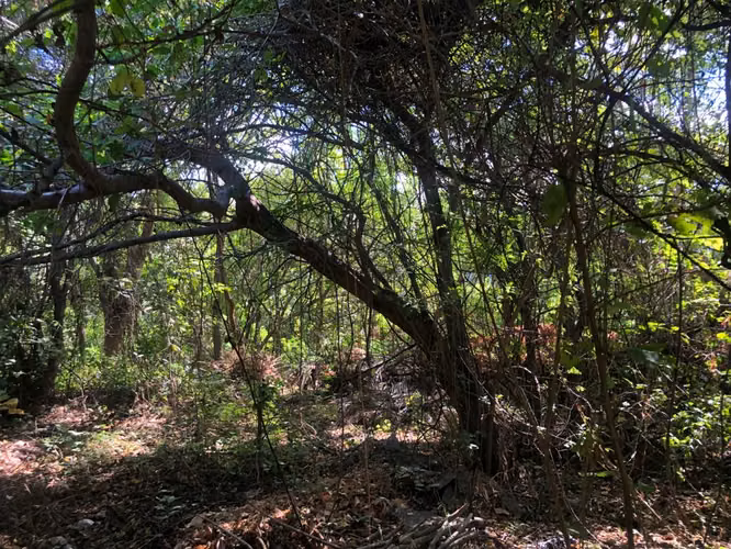 Venta de Terreno en Carretera Sur - Imagen 10