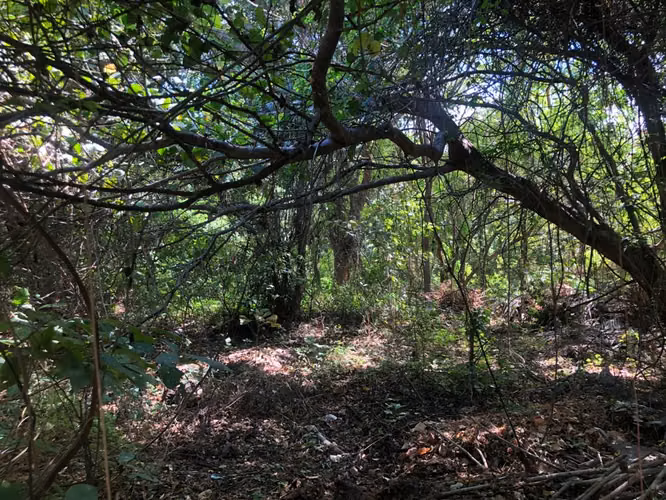 Venta de Terreno en Carretera Sur - Imagen 18
