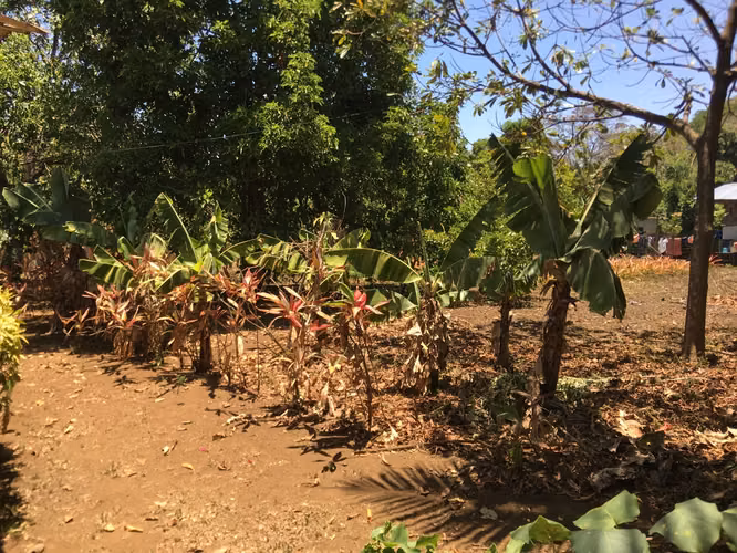 Venta de Terreno en Carretera a Masaya - Imagen 6