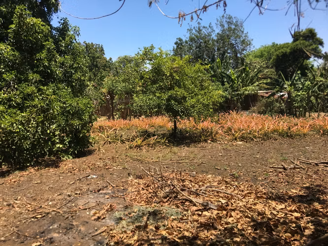 Venta de Terreno en Carretera a Masaya - Imagen 16