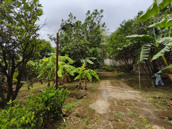#Venta en Carretera vieja a Leon. Cedro Galan JO - Imagen 3