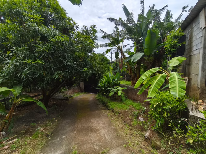 #Venta en Carretera vieja a Leon. Cedro Galan JO - Imagen 2