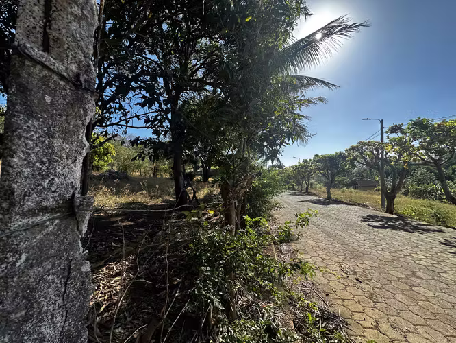 Vendo terreno 3000 vrs2 en carretera vieja a León, CG - Imagen 3