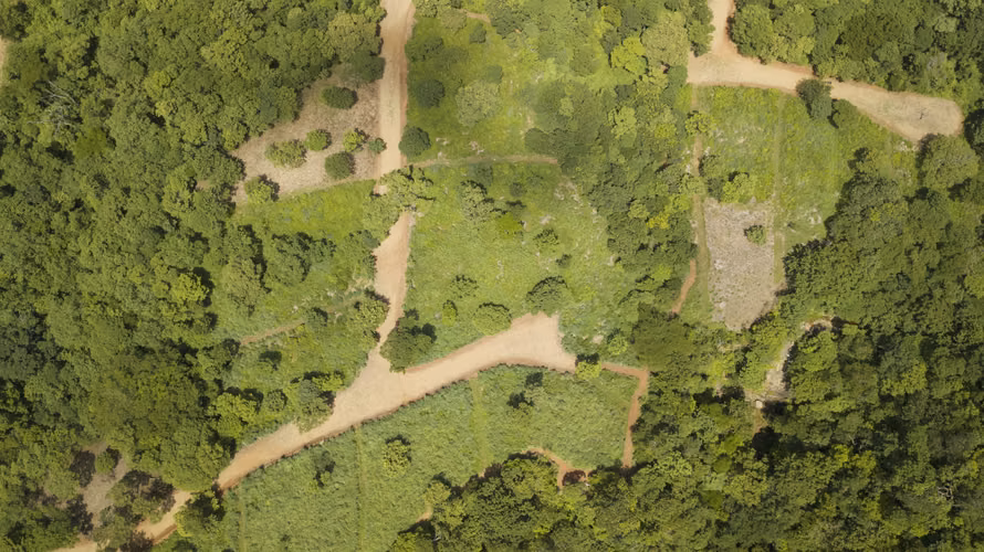Spacious Tropical Forest Lots Near Escamequita   San Juan del Sur