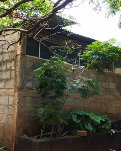 ¡En venta! Finca de 4mz ubicada en Tipitapa, Managua. - Imagen 14