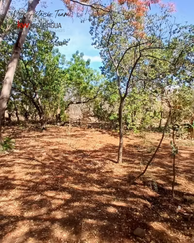 ¡En venta! Finca de 4mz ubicada en Tipitapa, Managua. - Imagen 2