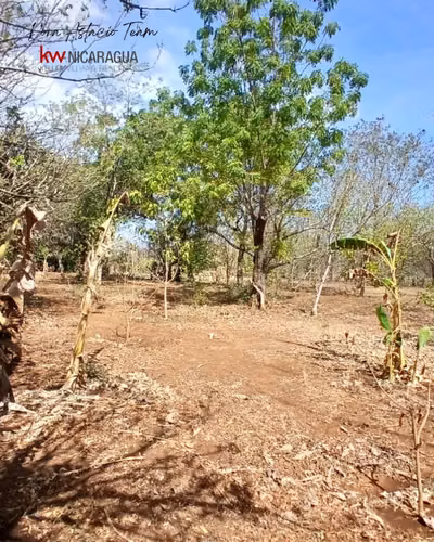 ¡En venta! Finca de 4mz ubicada en Tipitapa, Managua. - Imagen 7