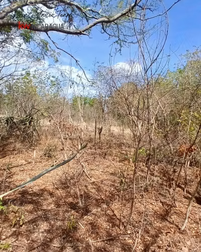 ¡En venta! Finca de 4mz ubicada en Tipitapa, Managua. - Imagen 9