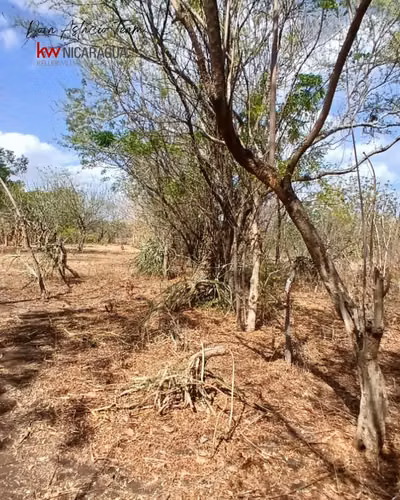¡En venta! Finca de 4mz ubicada en Tipitapa, Managua. - Imagen 4
