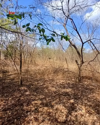 ¡En venta! Finca de 4mz ubicada en Tipitapa, Managua. - Imagen 8