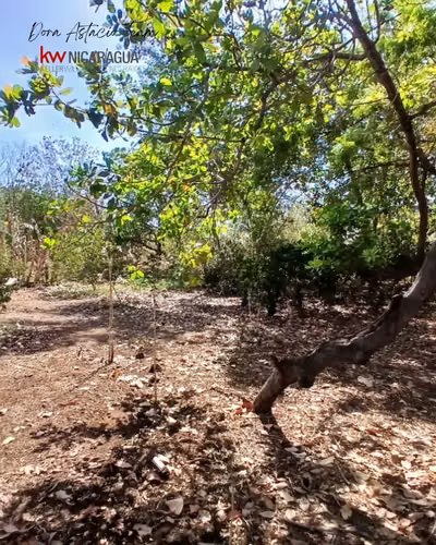 ¡En venta! Finca de 4mz ubicada en Tipitapa, Managua. - Imagen 3