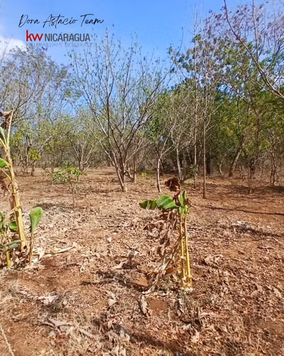 ¡En venta! Finca de 4mz ubicada en Tipitapa, Managua. - Imagen 6