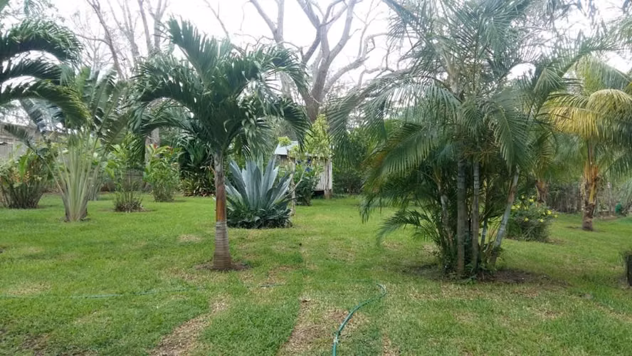 ¡Se vende! hermosa propiedad en Jinotepe - Imagen 9
