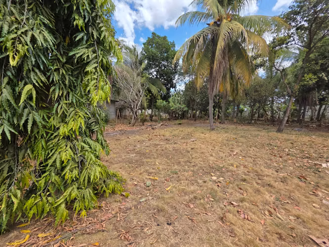 FH | En Venta Terreno con Mejoras | Intersección de la Pista El Mayoreo y la Pista Sabana Grande - Imagen 2
