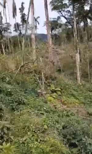 Finca de 90 manzanas rustica, En Waslala - Imagen 4