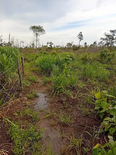 Se venden 200 manzanas de tierra en Rosita - Imagen 3