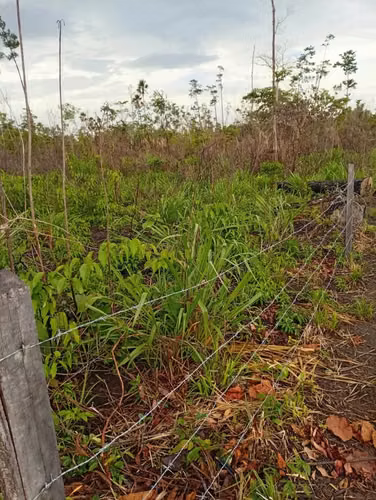 Se venden 200 manzanas de tierra en Rosita - Imagen 6