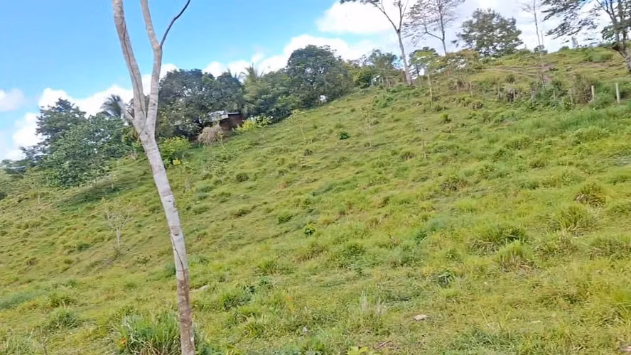 Vendo linda finca de 186 mzn. 50,000 cordobas por mz. - Imagen 7