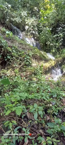 Vendo linda finca de 186 mzn. 50,000 cordobas por mz. - Imagen 6