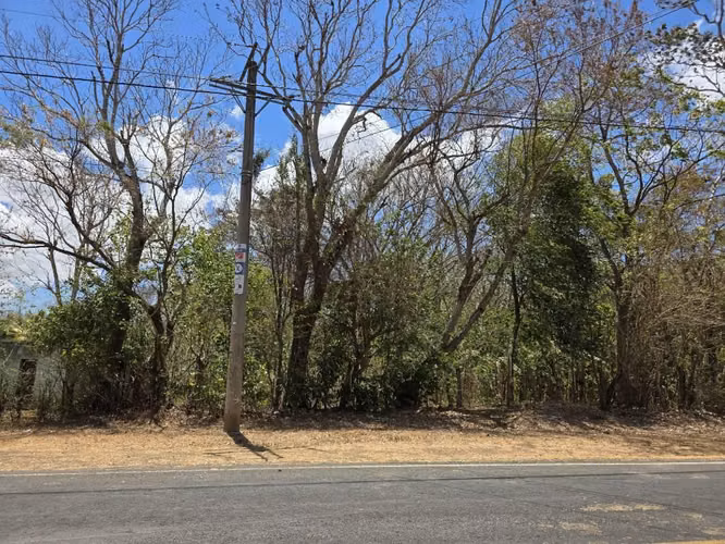 Terreno en Venta frente a estadio de Santa Teresa Carazo