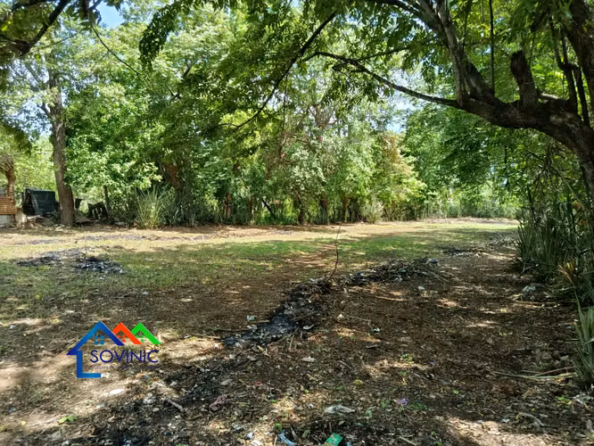 Terreno en venta – Buena Vista, El Raizón carretera a Masaya. - Imagen 6