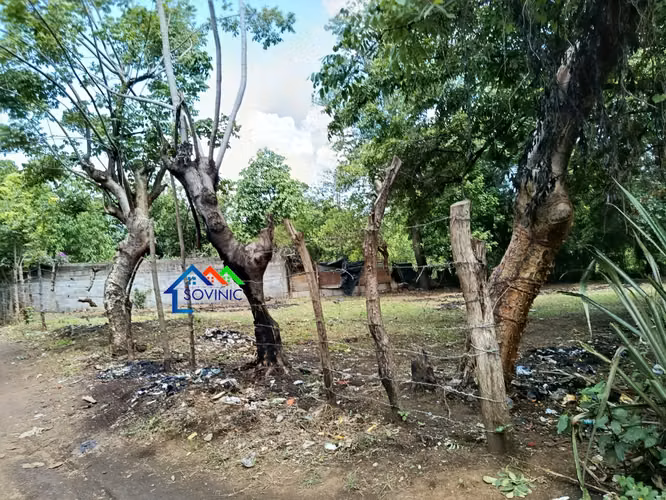 Terreno en venta – Buena Vista, El Raizón carretera a Masaya. - Imagen 9