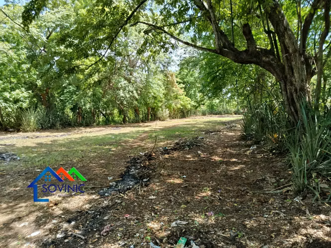 Terreno en venta – Buena Vista, El Raizón carretera a Masaya. - Imagen 4
