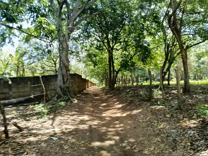 Terreno en venta – Buena Vista, El Raizón carretera a Masaya. - Imagen 3