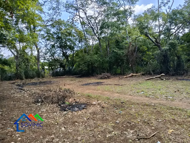 Terreno en venta – Buena Vista, El Raizón carretera a Masaya. - Imagen 7