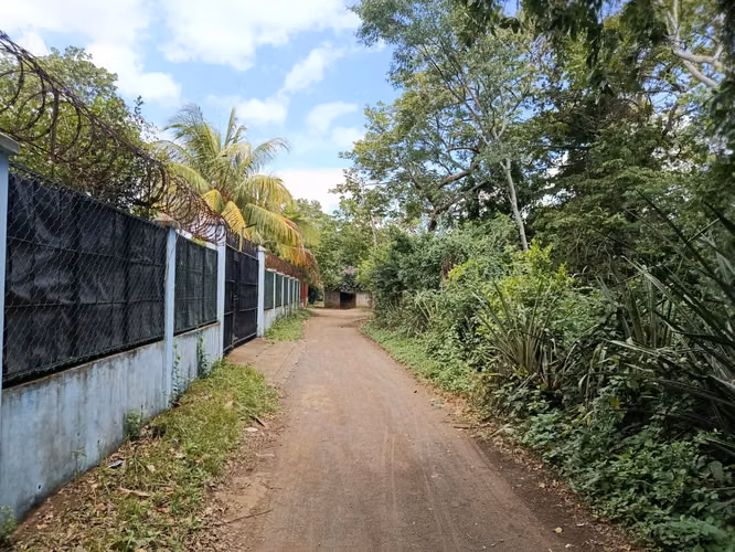 Terreno en venta – Buena Vista, El Raizón carretera a Masaya. - Imagen 2