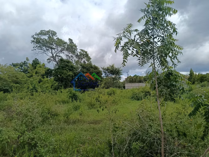 Terreno en Venta en el Kilometro 18 carretera a Masaya. - Imagen 4