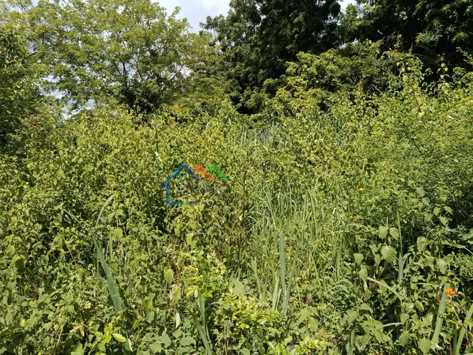 Terreno en Venta en el Kilometro 18 carretera a Masaya. - Imagen 2