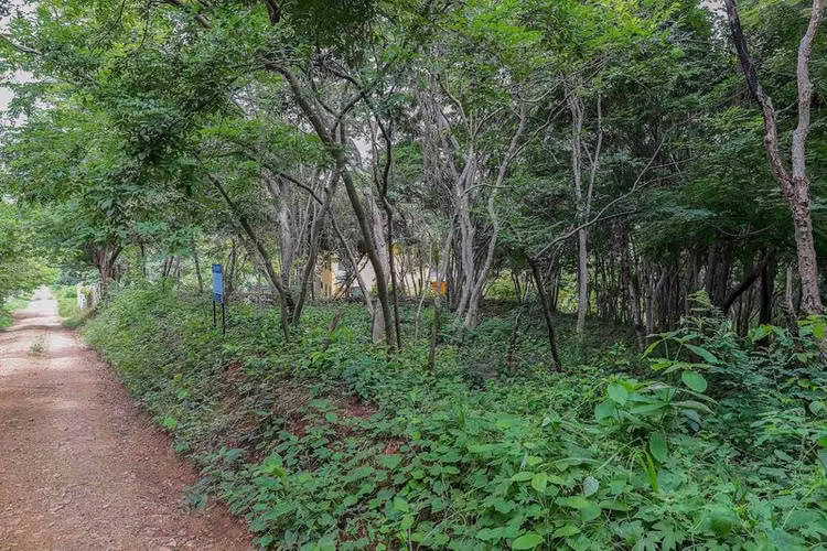 1 2 Acre Property in Popoyo with Breathtaking Views - Imagen 3