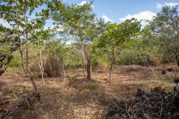 Affordable Ocean View Lot in Playa Guasacate Nicaragua - Imagen 4